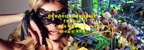 ешки Абинск